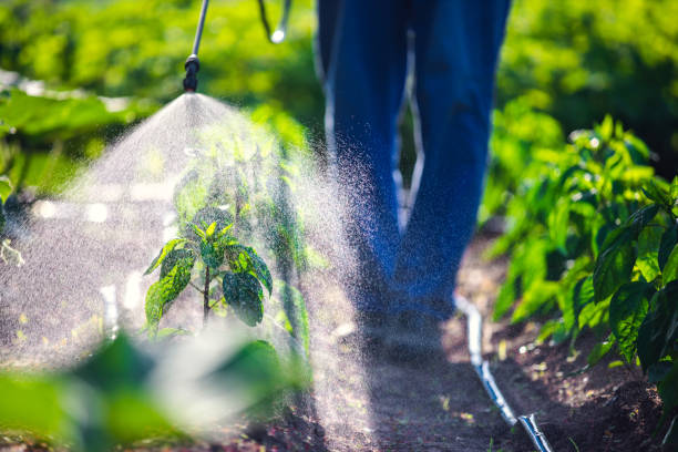 Pest Control for Warehouses in Negaunee, MI